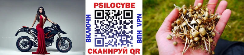 ссылка на мегу ONION Протвино Псилоцибиновые грибы GOLDEN TEACHER