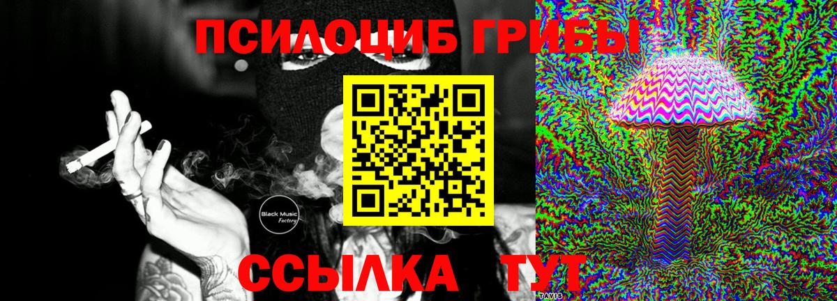 Протвино  Псилоцибиновые грибы ЛСД  где найти наркотики  Вход с VPN 